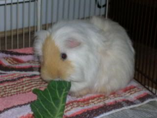 DSCN1527.jpg