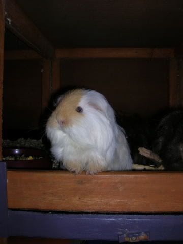 DSCN1628.jpg