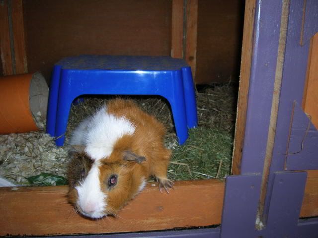 DSCN1629.jpg