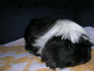 DSCN1726.jpg