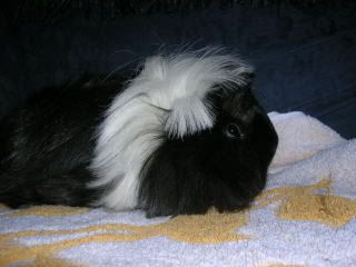 DSCN1729.jpg