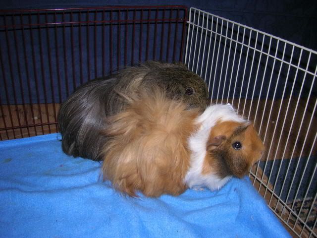 DSCN1730.jpg