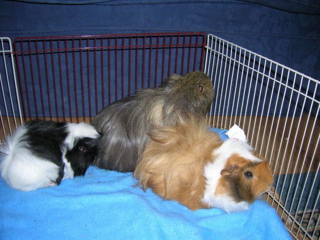DSCN1732.jpg