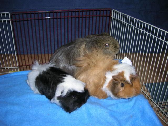 DSCN1733.jpg