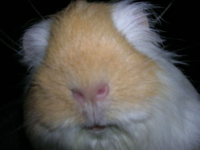 DSCN1736.jpg