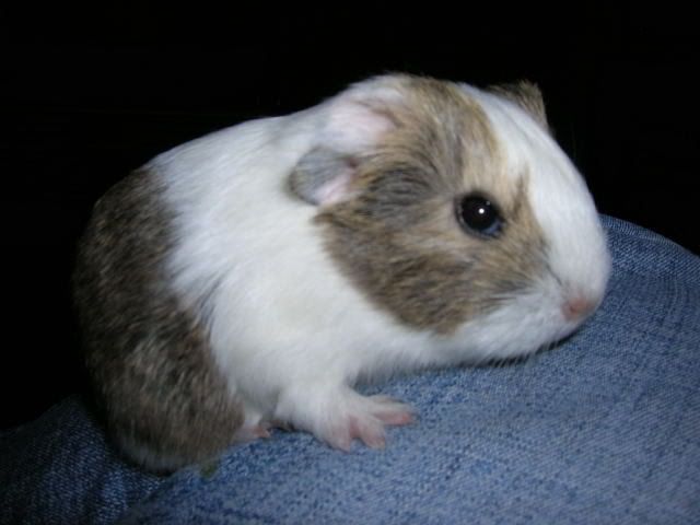 DSCN1792.jpg