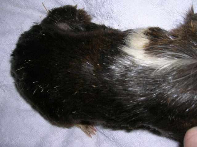 DSCN1918.jpg