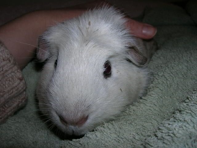 DSCN1928.jpg