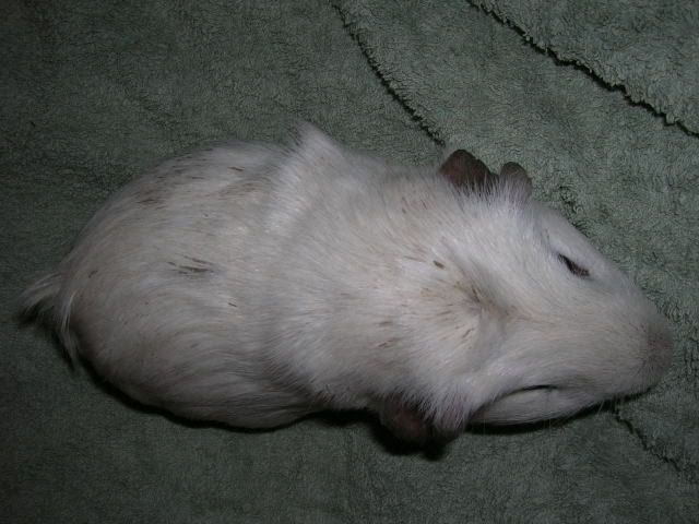 DSCN1936.jpg