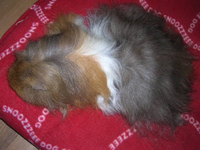 DSCN2005.jpg