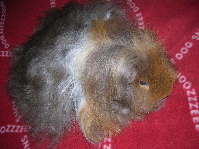DSCN2008.jpg