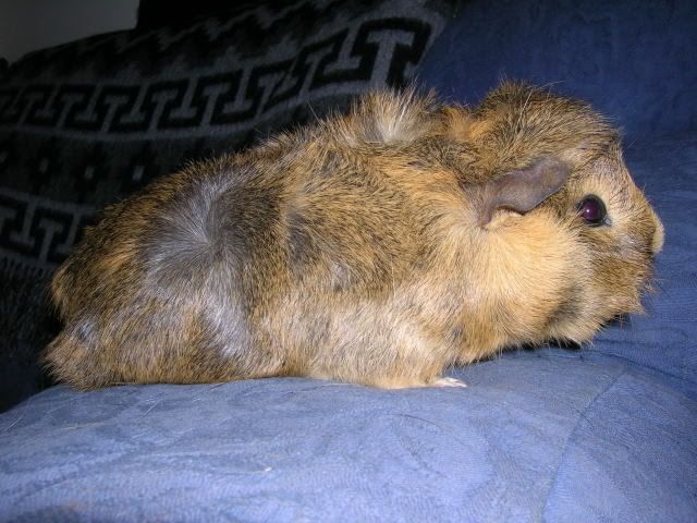 DSCN2039.jpg
