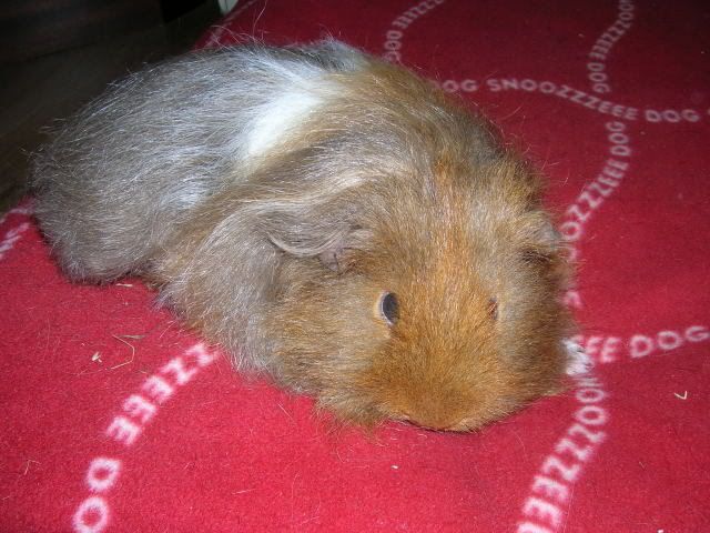 DSCN2048.jpg