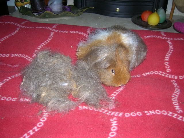 DSCN2057.jpg