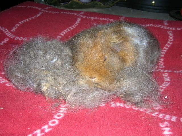 DSCN2062.jpg