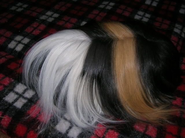 DSCN2068.jpg