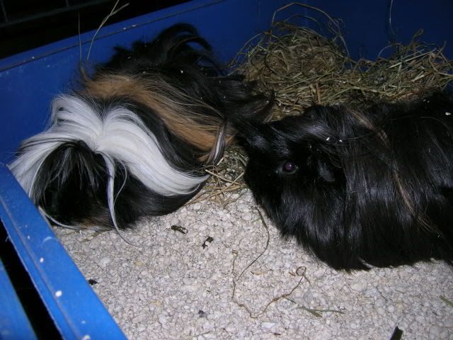 DSCN2122.jpg