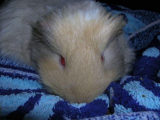 DSCN2124.jpg