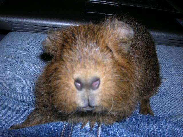 DSCN2131.jpg