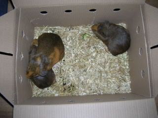 DSCN2157.jpg