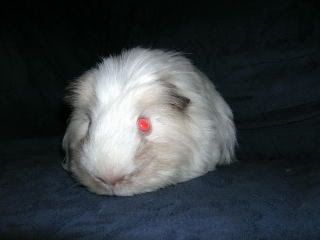 DSCN2159.jpg