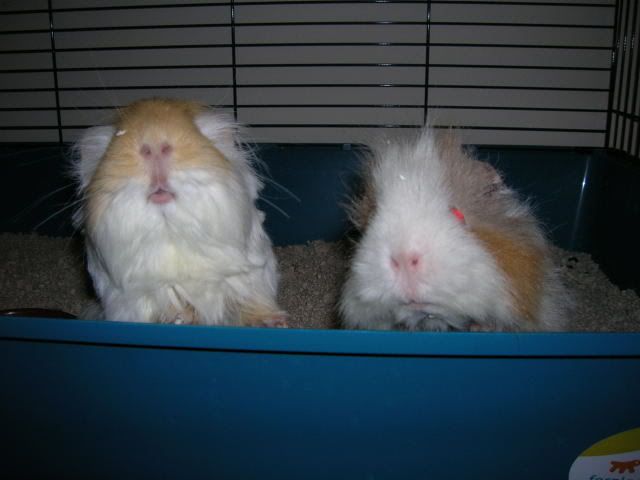 DSCN2161.jpg