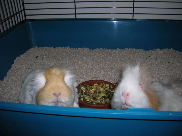 DSCN2165.jpg