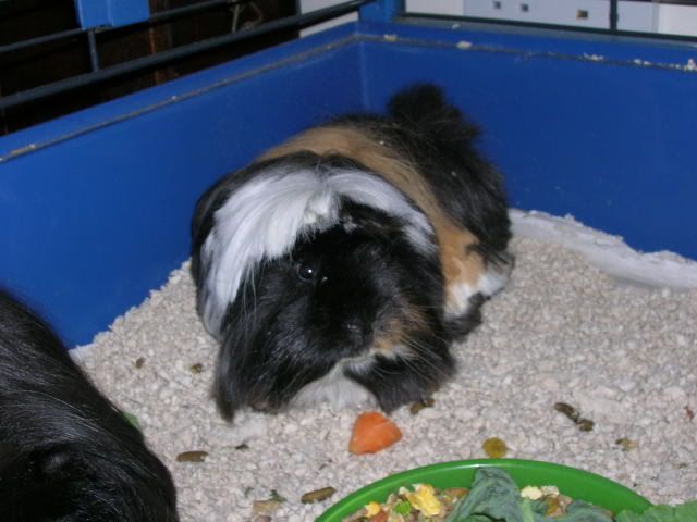 DSCN2170.jpg