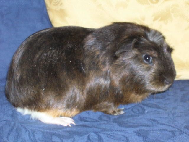 DSCN2174.jpg