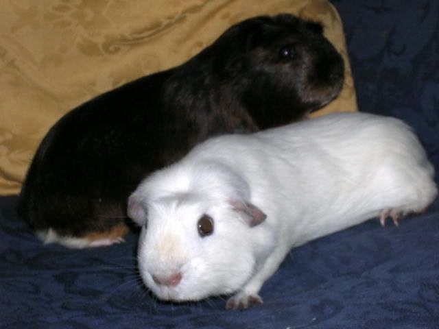 DSCN2177.jpg