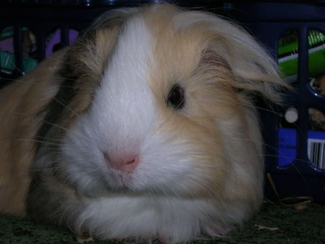 DSCN2202.jpg
