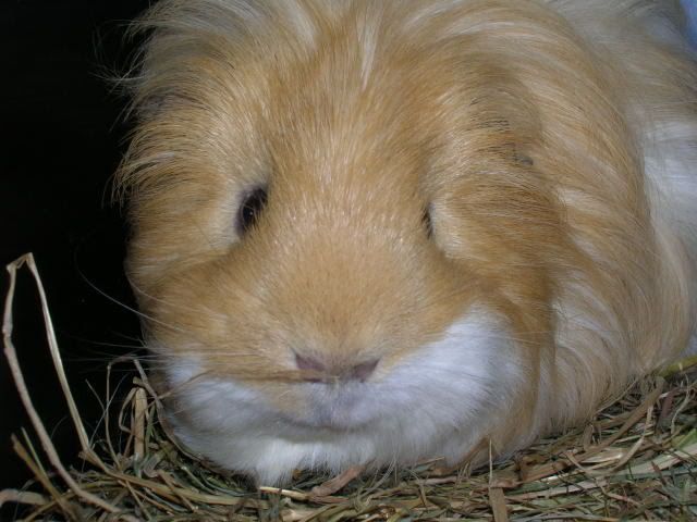 DSCN2207.jpg