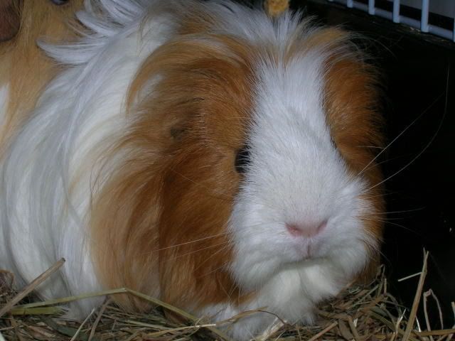 DSCN2209.jpg