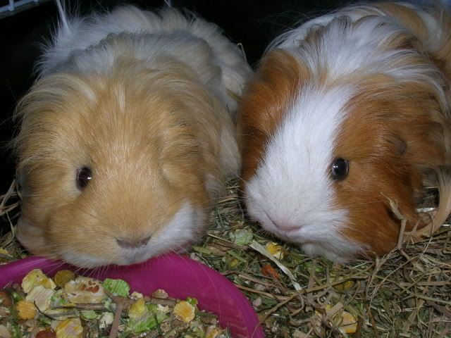 DSCN2211.jpg
