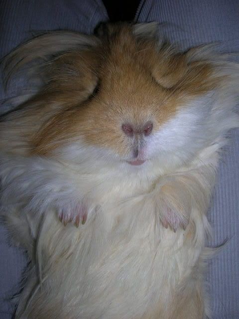 DSCN2394.jpg