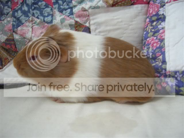 DSCN2413.jpg