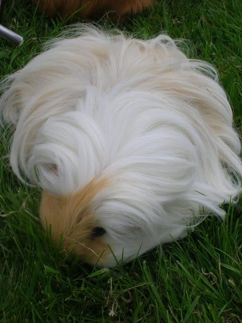 DSCN2455.jpg