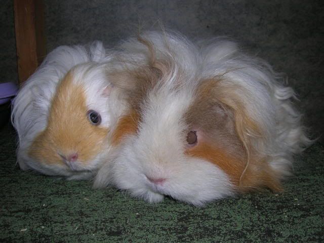 DSCN2463.jpg