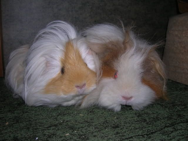DSCN2464.jpg