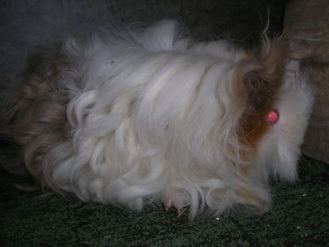 DSCN2465.jpg