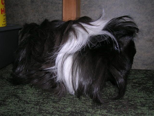 DSCN2467.jpg