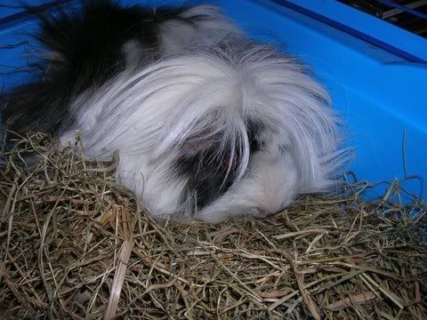 DSCN2513.jpg
