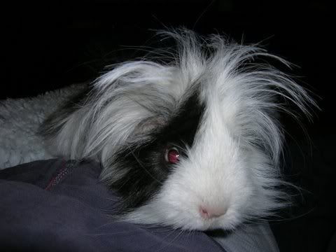 DSCN2519.jpg