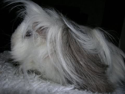 DSCN2523.jpg