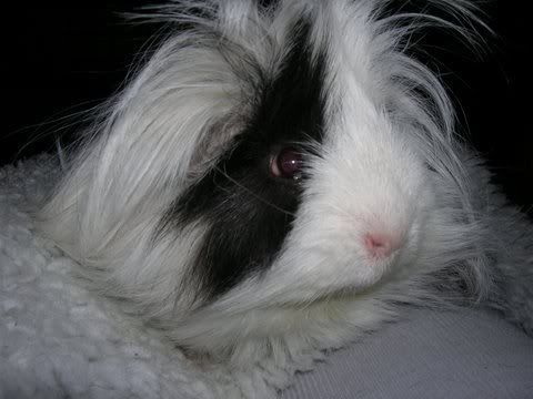DSCN2527.jpg