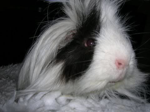 DSCN2532.jpg