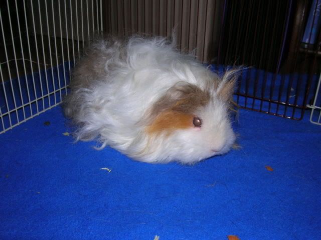 DSCN2534.jpg