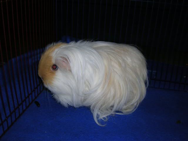 DSCN2535.jpg