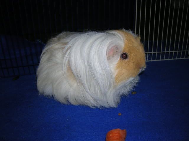 DSCN2536.jpg
