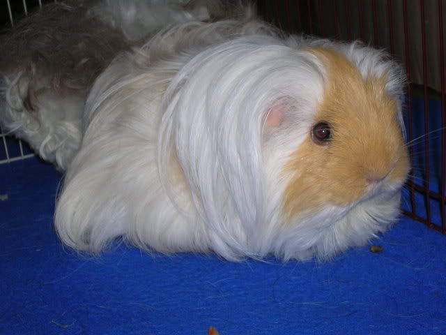 DSCN2537.jpg